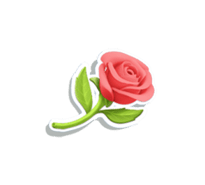 rose-love