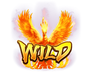 wild-phoenix
