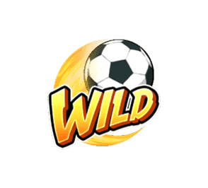 wild-soccer