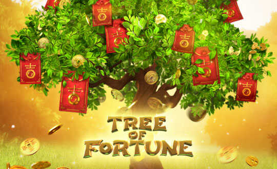 ปก-tree-of-fortune_optimized
