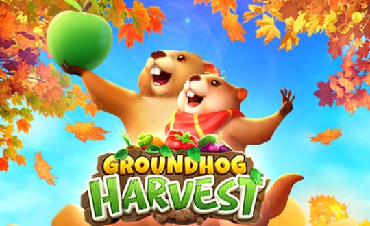 groundhog-harvest-pg